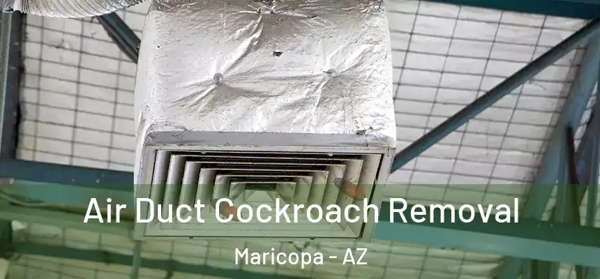  Air Duct Cockroach Removal Maricopa - AZ