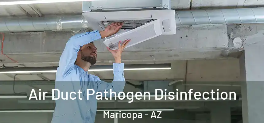  Air Duct Pathogen Disinfection Maricopa - AZ