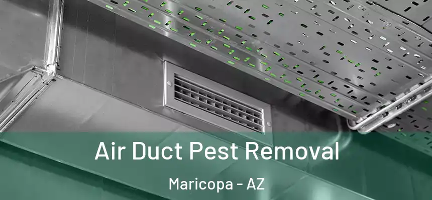  Air Duct Pest Removal Maricopa - AZ