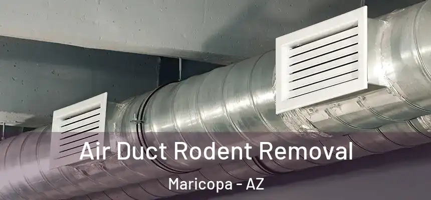 Air Duct Rodent Removal Maricopa - AZ
