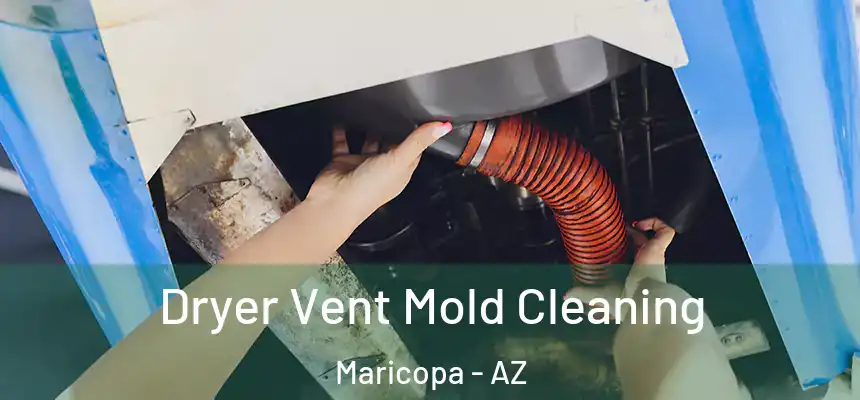 Dryer Vent Mold Cleaning Maricopa - AZ
