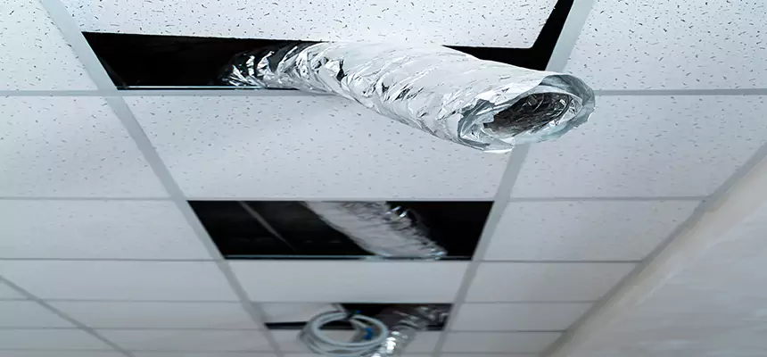 Our Air Duct Pet Hair Removal Services in Maricopa, AZ