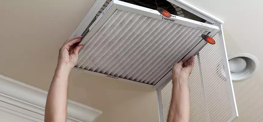 Our Insect Removal from Air Ducts Services in Maricopa, AZ