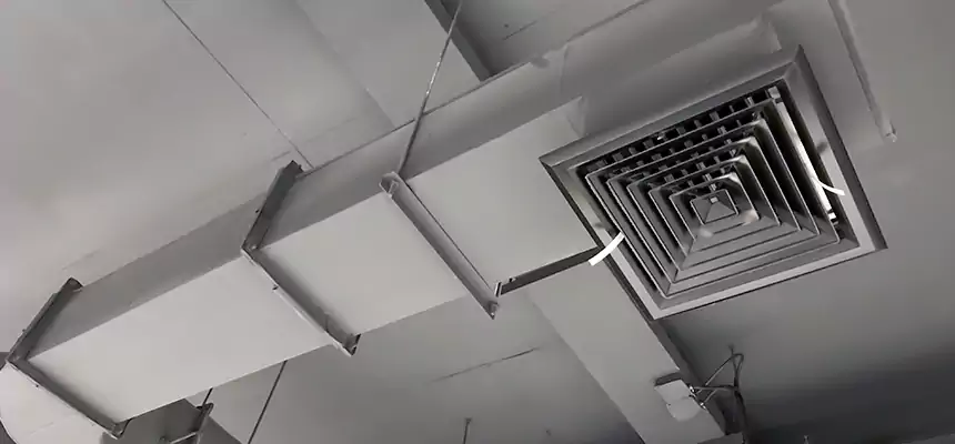 Our Pest Removal From Ducts Services in Maricopa, AZ