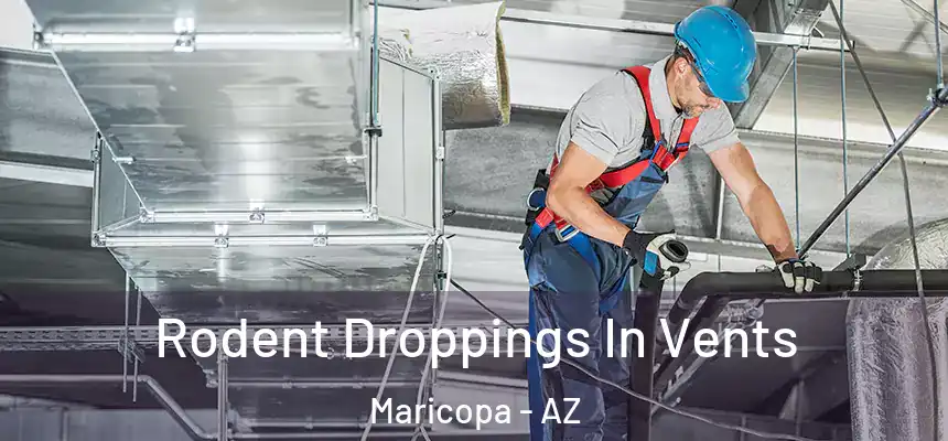  Rodent Droppings In Vents Maricopa - AZ