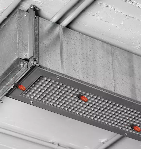 About Air Duct Cockroach Removal in Maricopa, AZ
