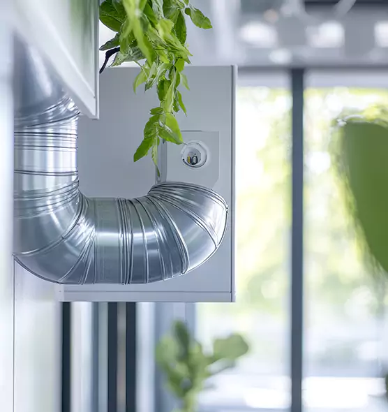 Professional Eco-Safe Dryer Vent Cleaning in Maricopa, AZ