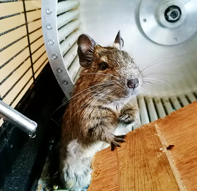 Why Homeowners & Businesses Trust Us Maricopa, AZ