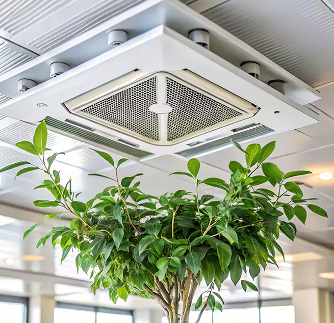 Why Homeowners & Businesses Trust Us in Maricopa, AZ?