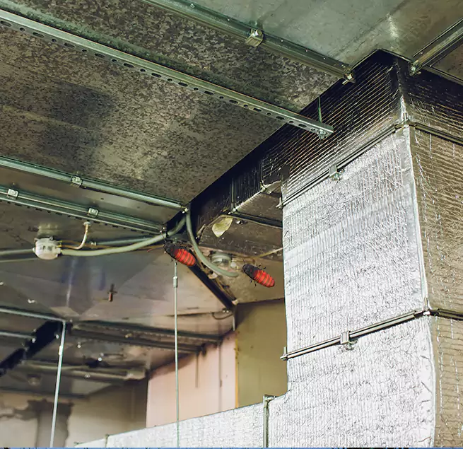 Why Homeowners & Businesses Trust Us Maricopa, AZ?