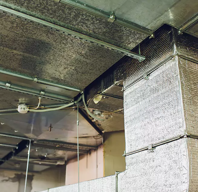 Why Homeowners & Businesses Trust Us in Maricopa, AZ?