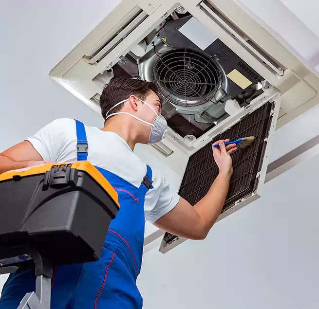 Why Homeowners & Businesses Trust Us in Maricopa, AZ?